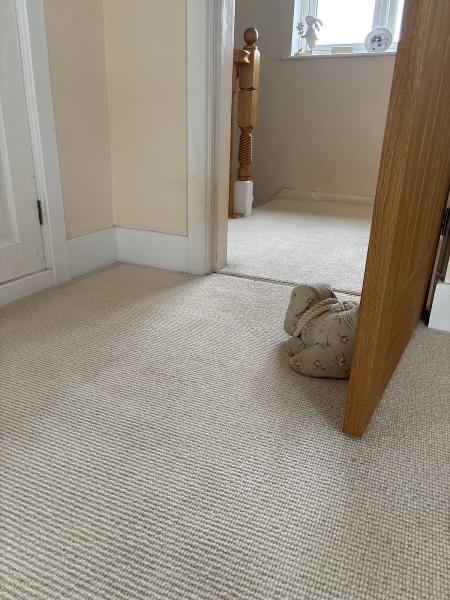 Carpetprocleaning