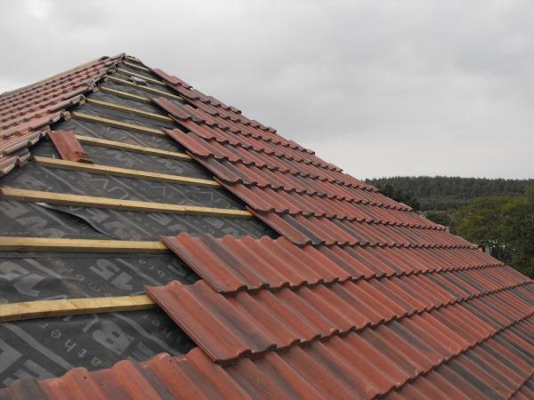 SWF Roofers and Builders Ltd