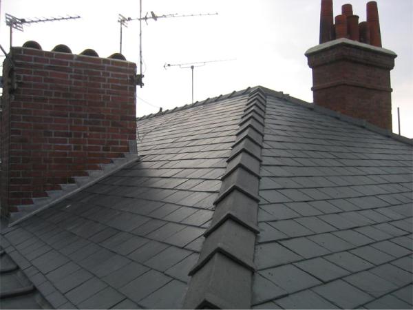 SWF Roofers and Builders Ltd