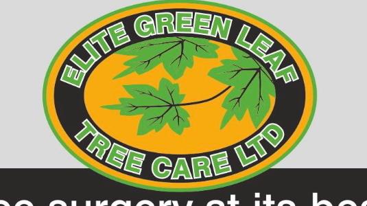 Elite Green Leaf Tree Care