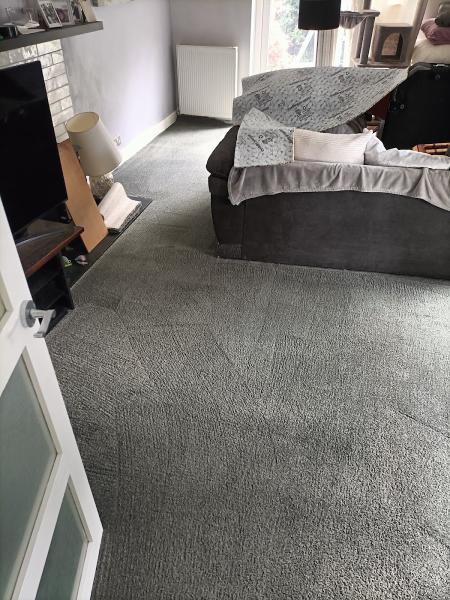 Breeze Carpet Cleaning (Dorset) UK