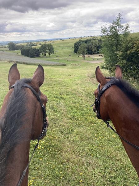 Aylesford Cross Country Course