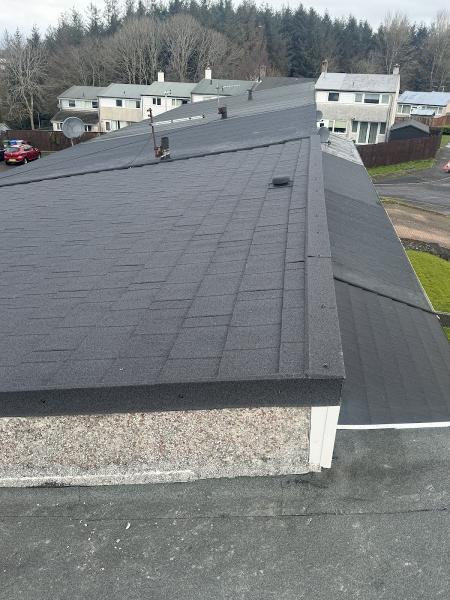 Dan's First Choice Roofing