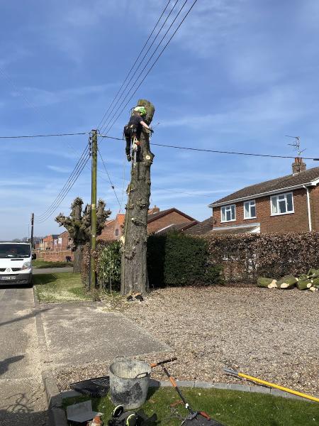 RW Landscaping Ltd Tree Surgeon Spalding.