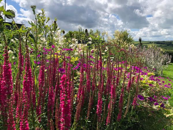 Nature's Curators Garden Design