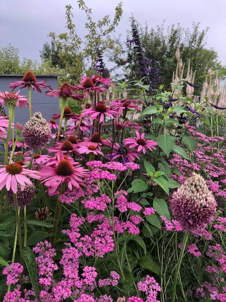 Nature's Curators Garden Design