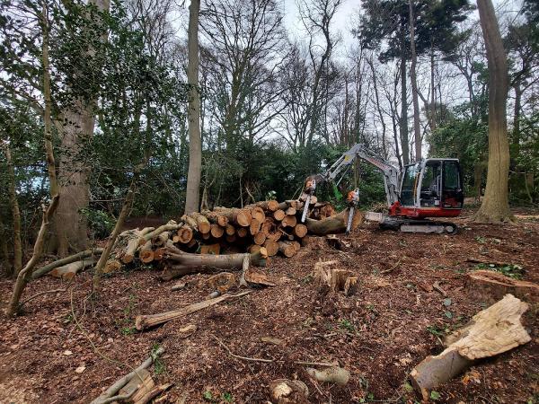 Graysons Log and Tree Services