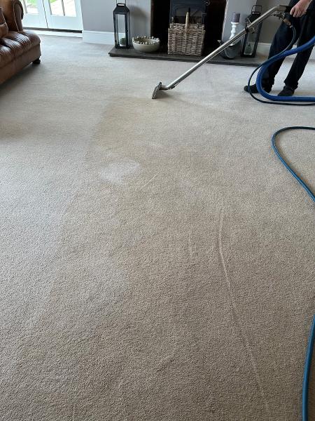 Competent Cleaners Ltd