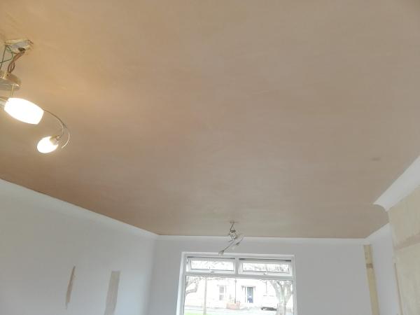 S.P Plastering and Damp Proofing Services