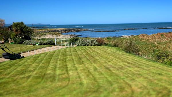 John's Lawn Mowing