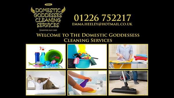 Domestic Goddesses Cleaning Services