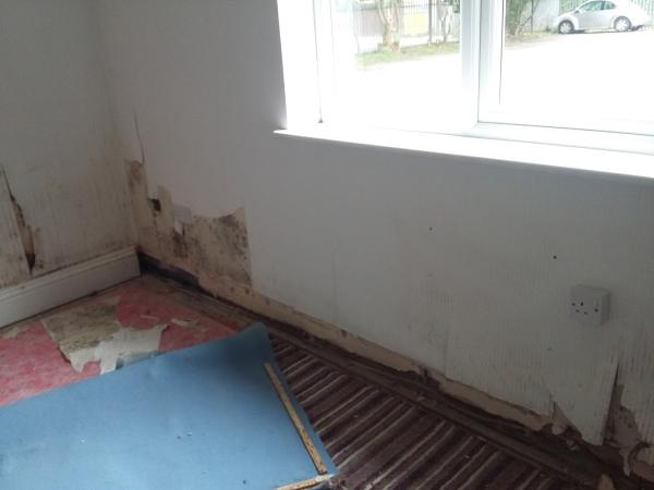 Home Renovation & Damp Proofing Hull Waterproofing Comapny