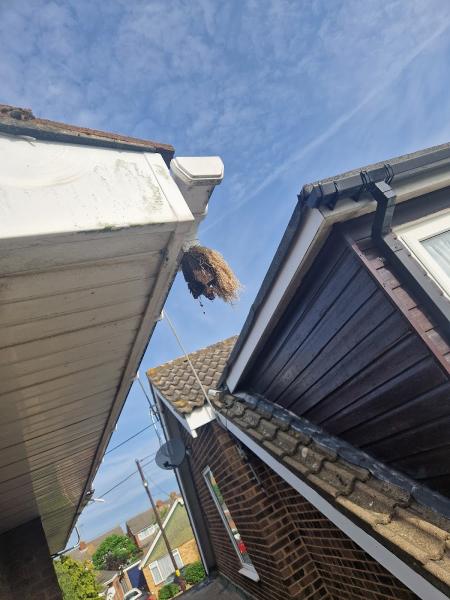 Rayleigh Gutter Cleaning and Repairs