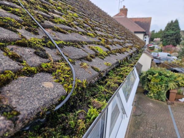 Rayleigh Gutter Cleaning and Repairs