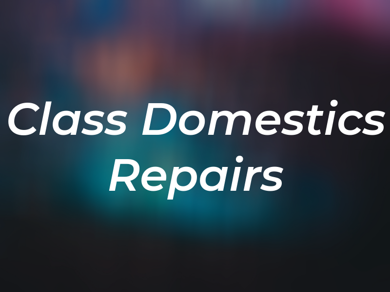 1st Class Domestics Repairs