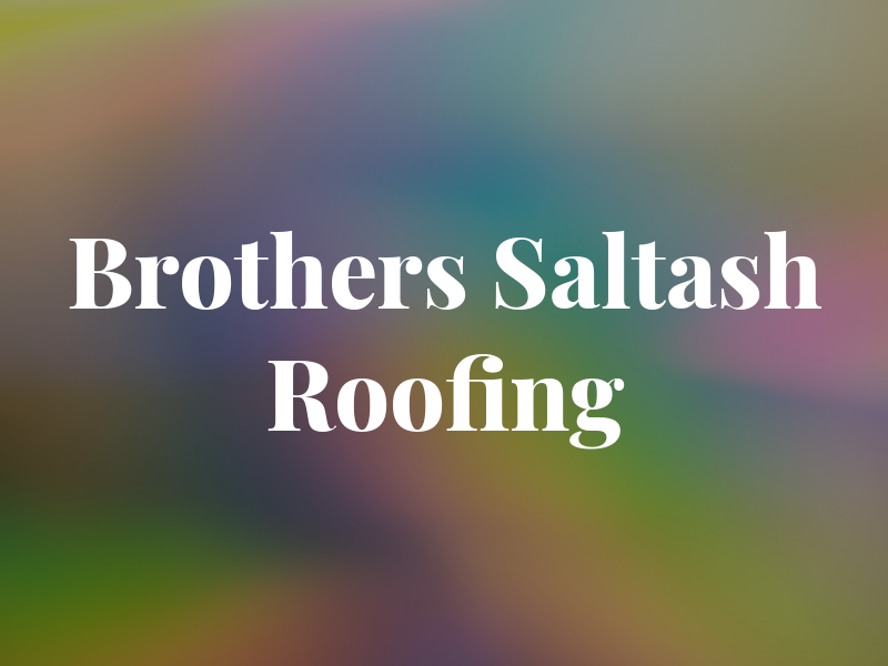 2 Brothers in Saltash Roofing