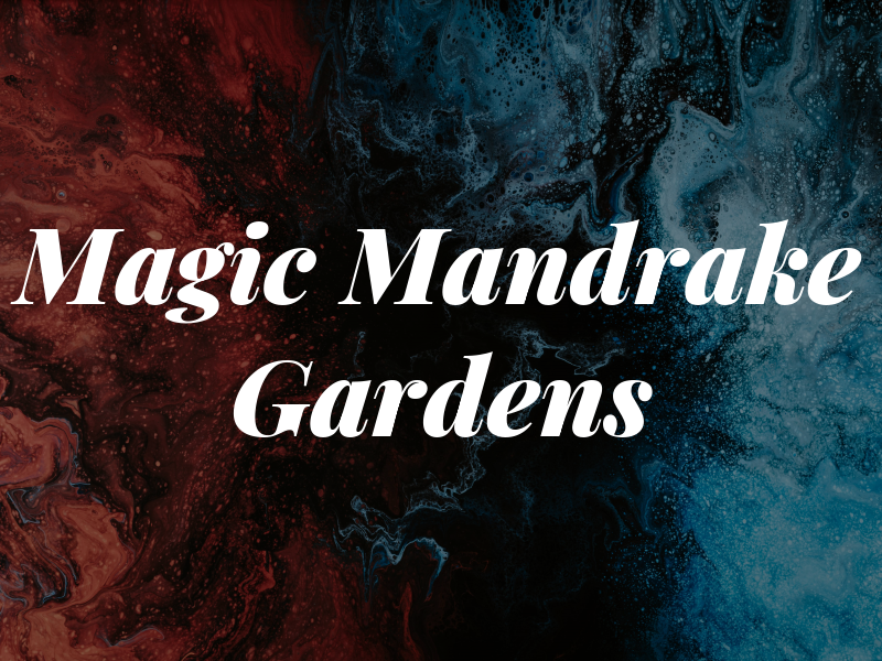 Magic Mandrake Gardens LTD