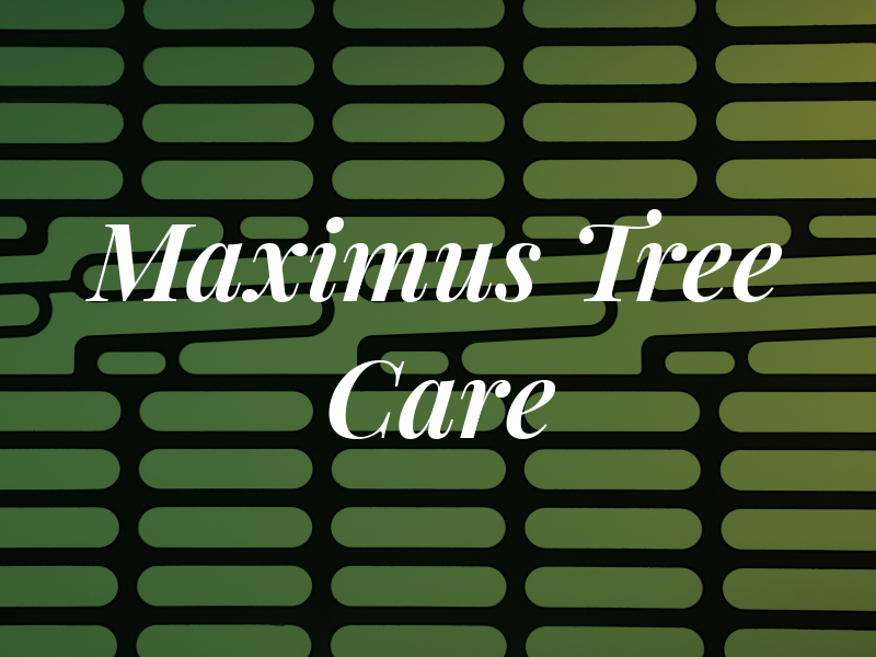 Maximus Tree Care