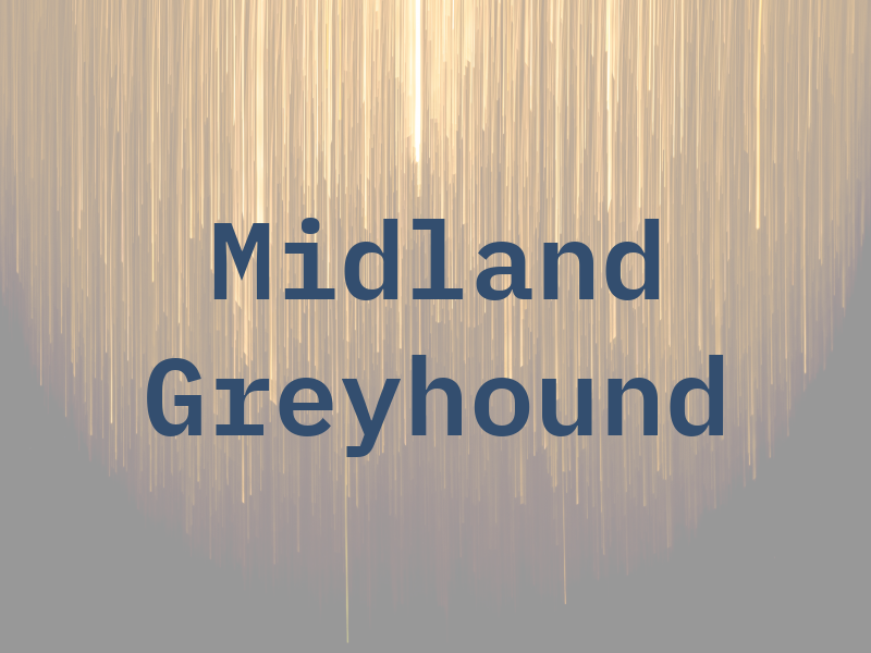 Midland Greyhound