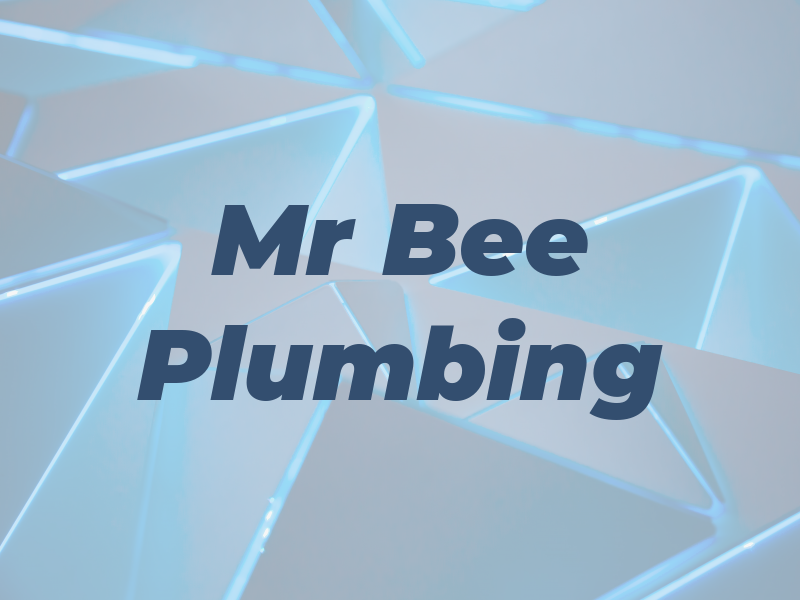Mr Bee Plumbing