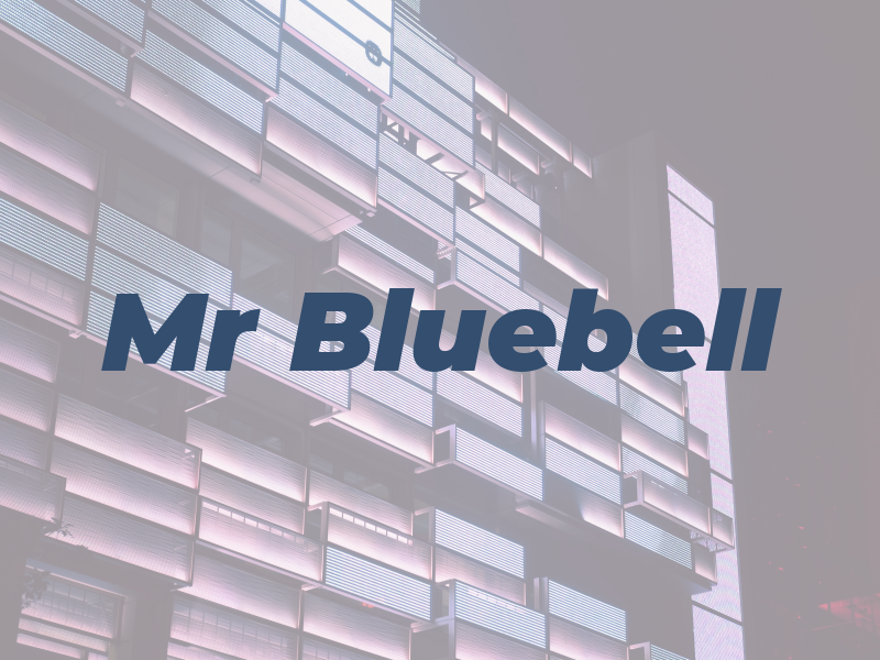 Mr Bluebell