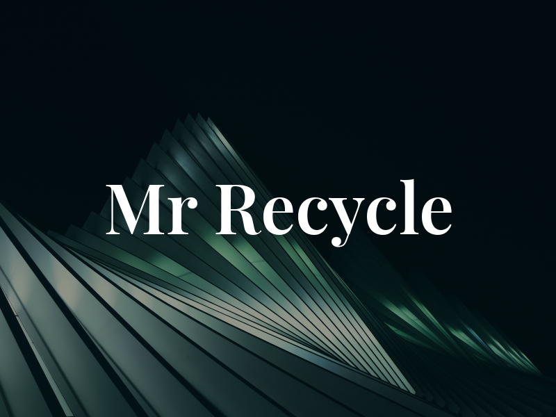 Mr Recycle