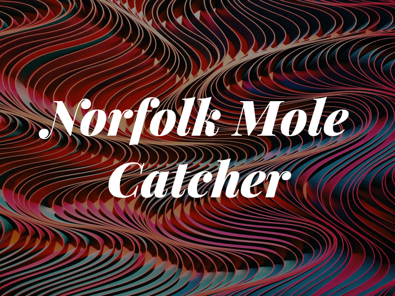 Norfolk Mole Catcher