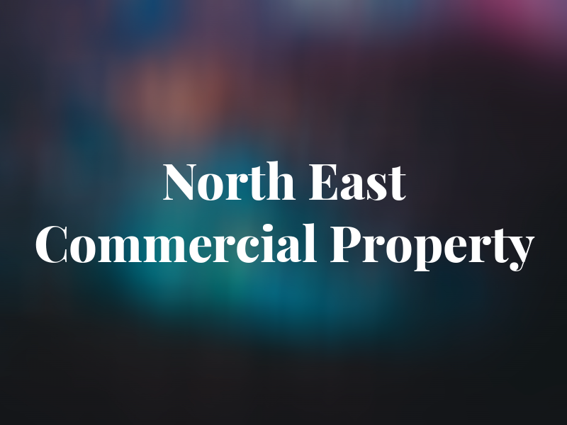 North East Commercial Property Ltd