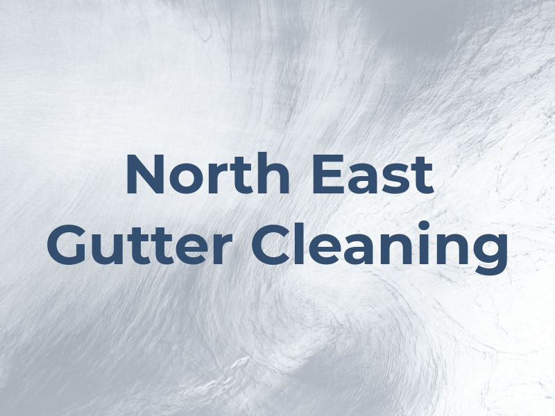 North East Gutter Cleaning