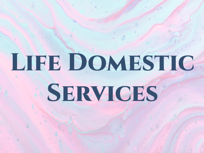 A New Life Domestic Services