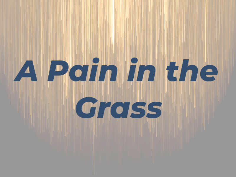 A Pain in the Grass