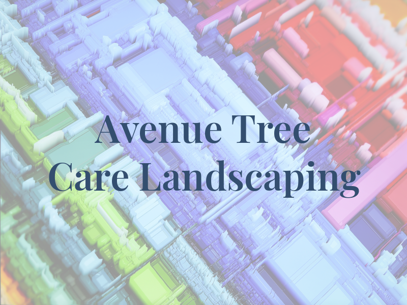 Avenue Tree Care & Landscaping