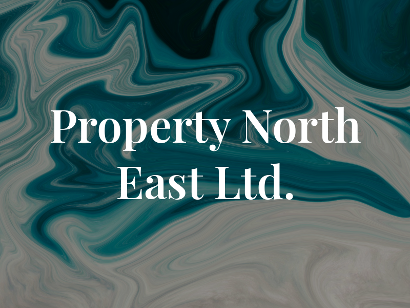 AAA Property North East Ltd.