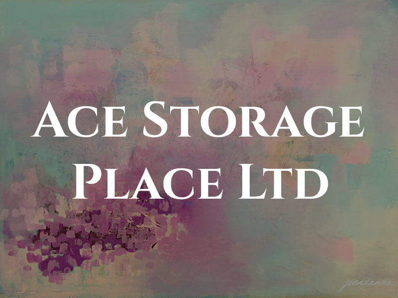 Ace Storage Place Ltd