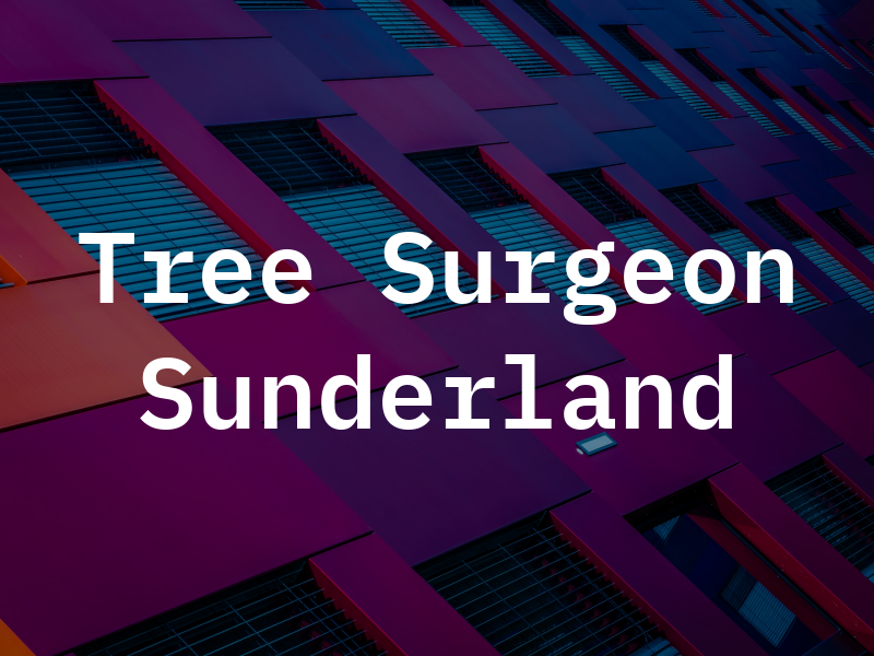 Ace Tree Surgeon Sunderland