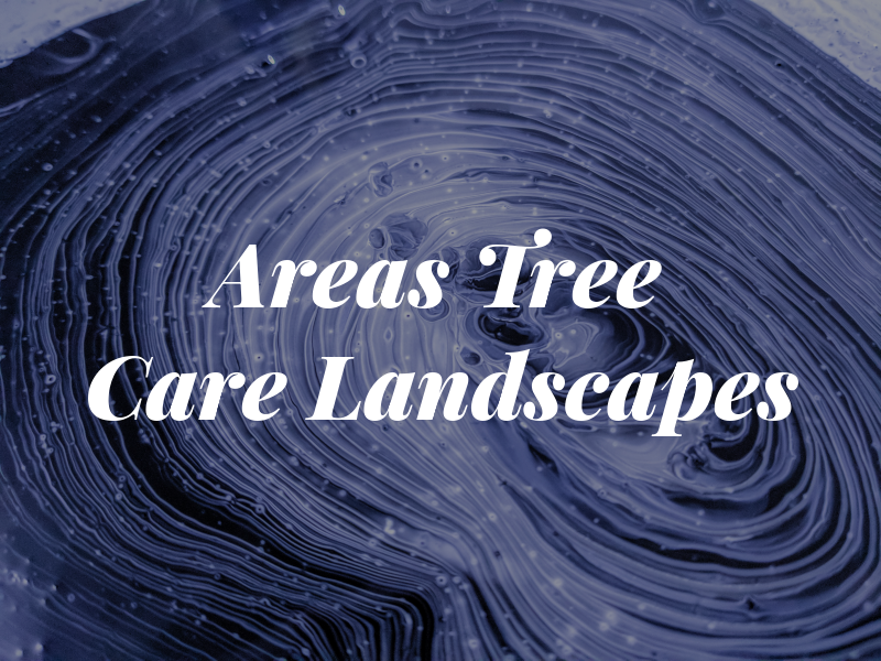 All Areas Tree Care Landscapes
