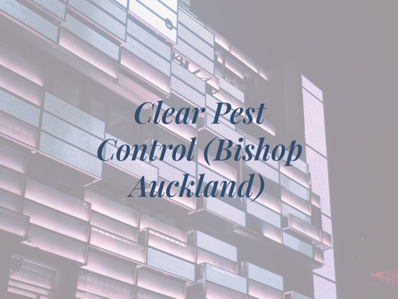 All Clear Pest Control (Bishop Auckland) Ltd