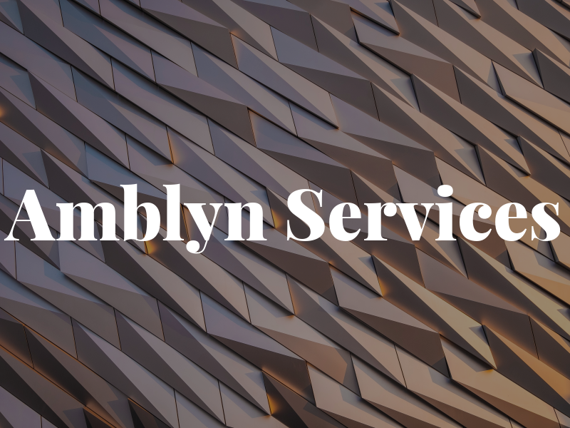 Amblyn Services