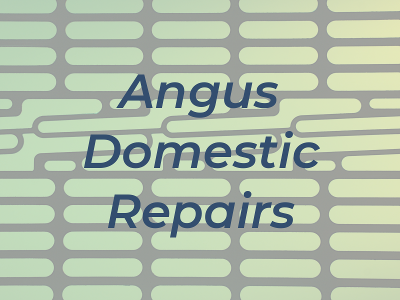 Angus Domestic Repairs