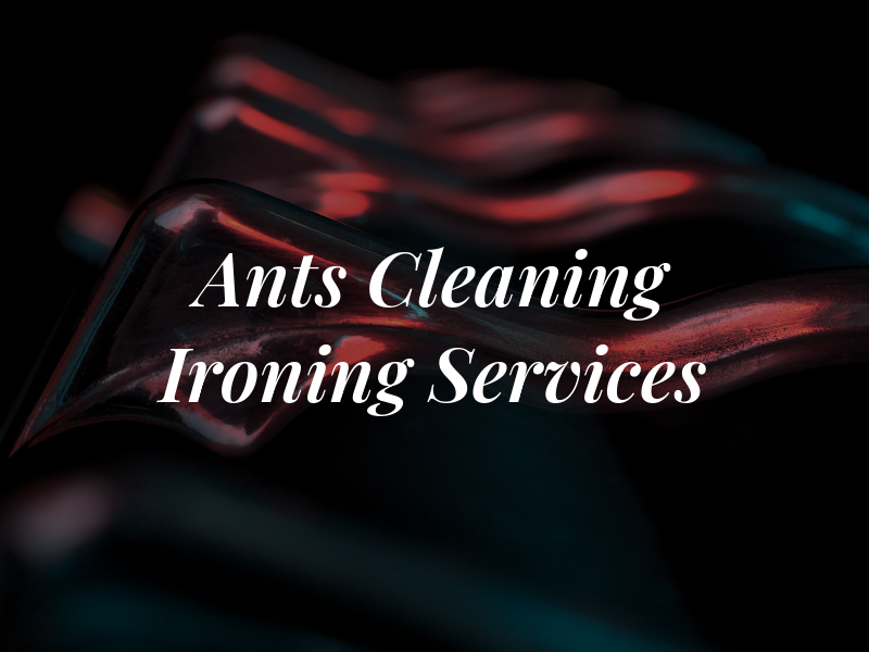 Ants Cleaning Ironing Services