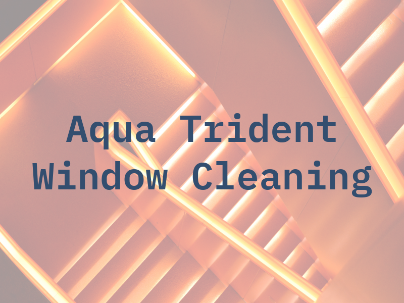 Aqua Trident Window Cleaning Co.