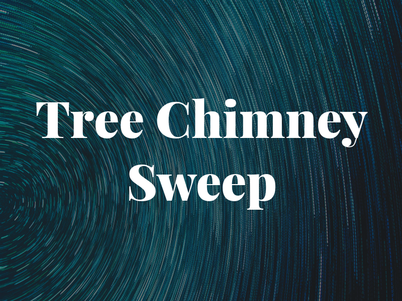 Ash Tree Chimney Sweep