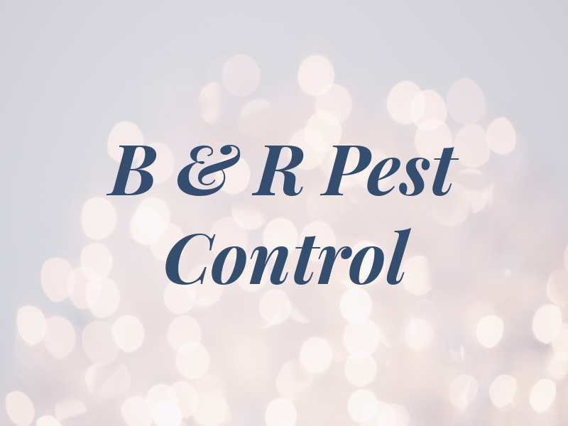 B & R Pest Control