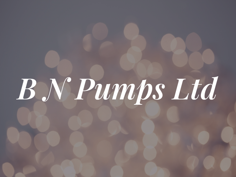 B N Pumps Ltd