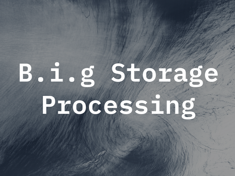 B.i.g Storage and Processing Ltd