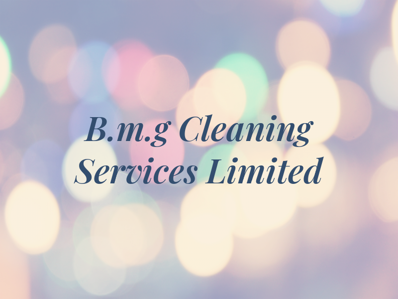 B.m.g Cleaning Services Limited