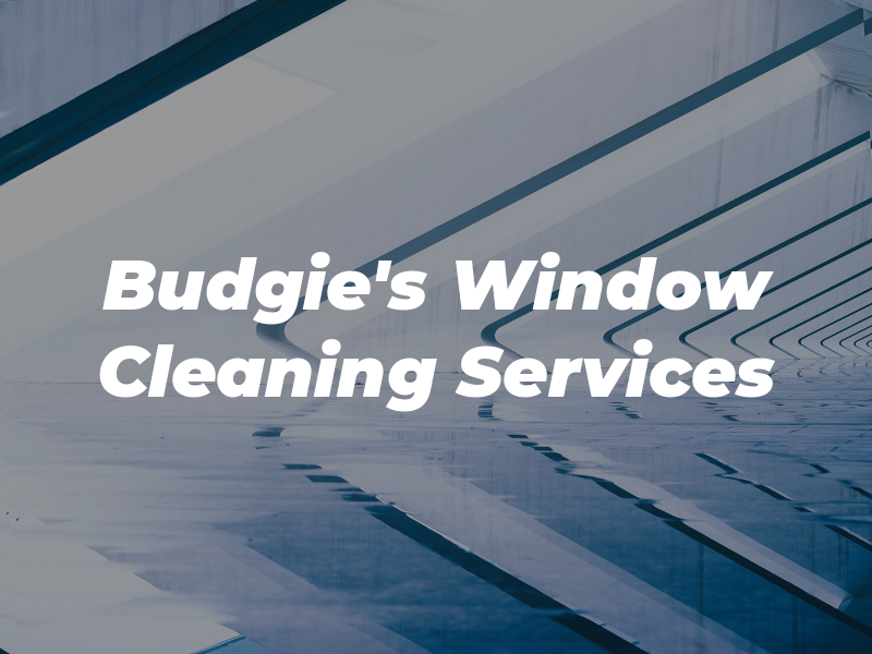 Budgie's Window Cleaning Services