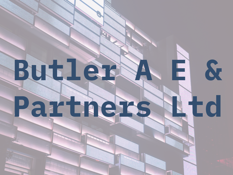 Butler A E & Partners Ltd