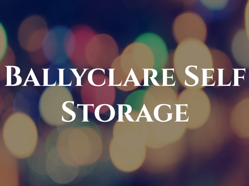 Ballyclare Self Storage