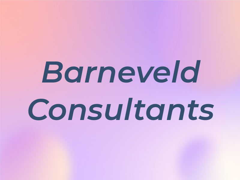 Barneveld Consultants